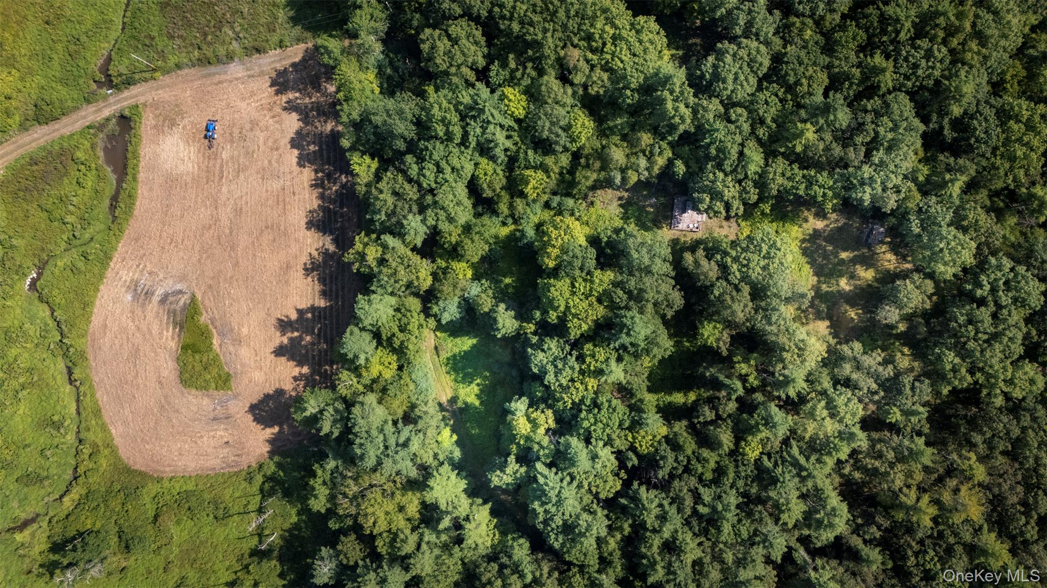 327 Phillips Road, Saugerties, NY 12477