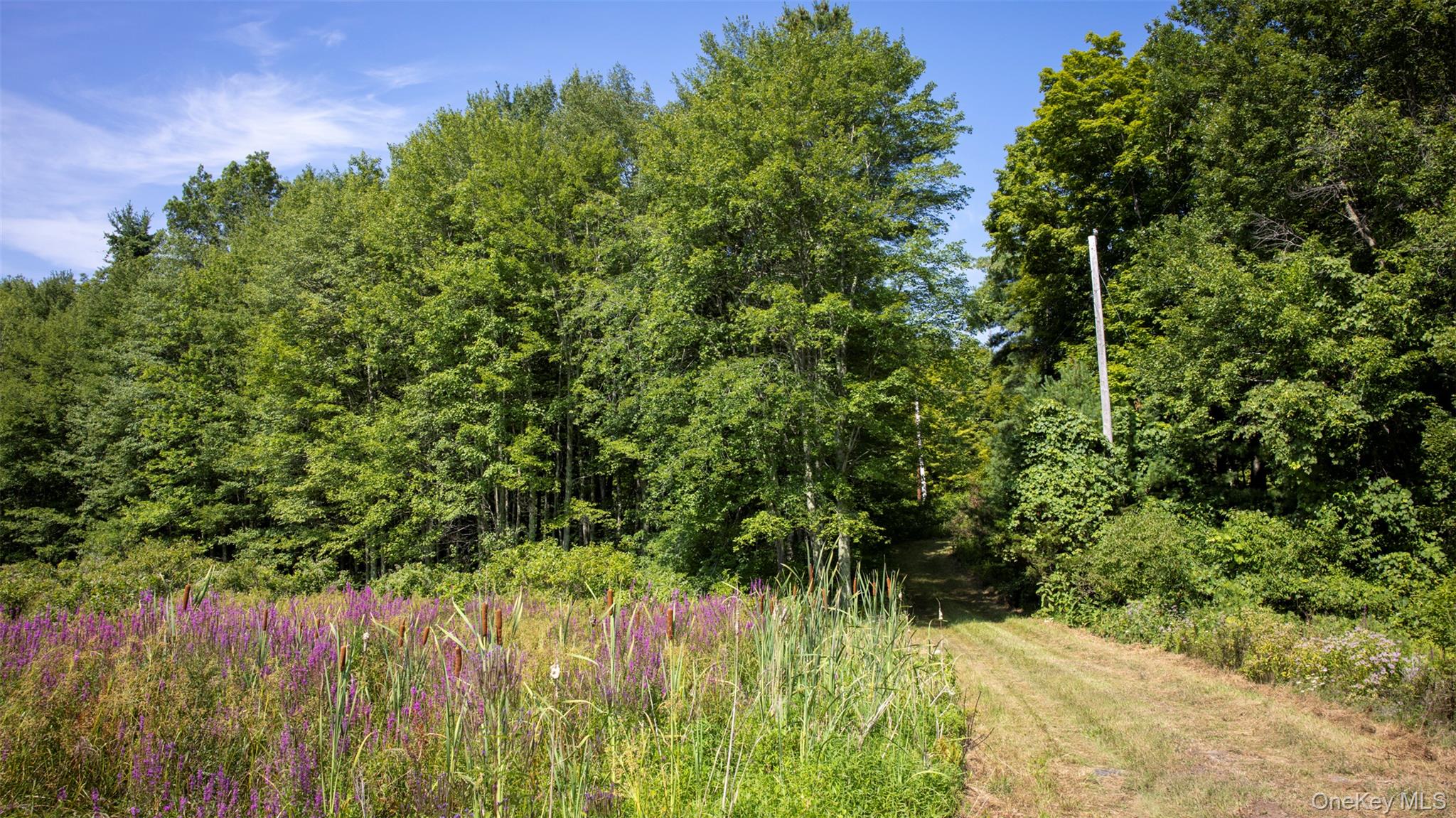 327 Phillips Road, Saugerties, NY 12477