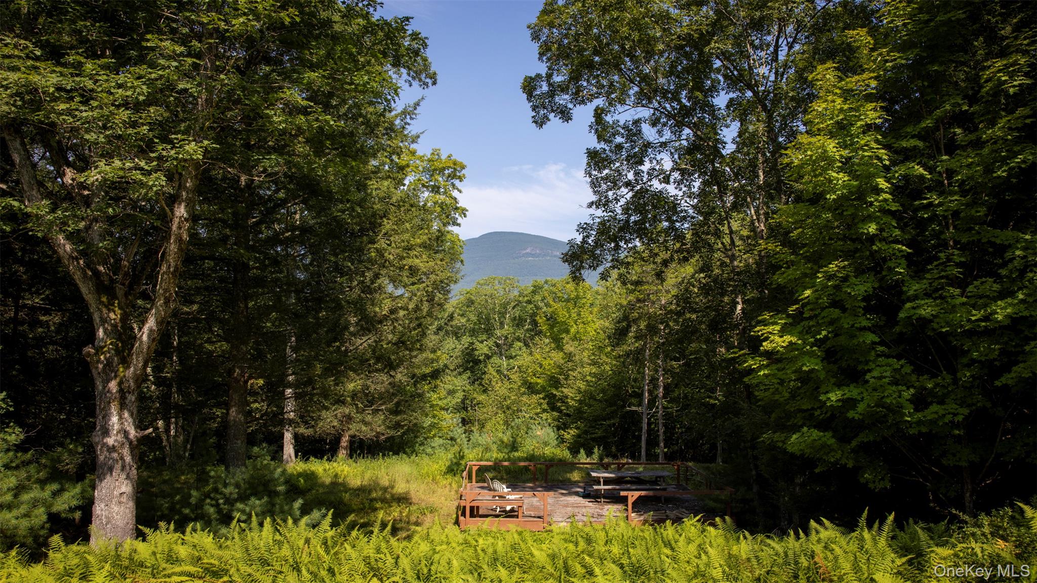 327 Phillips Road, Saugerties, NY 12477