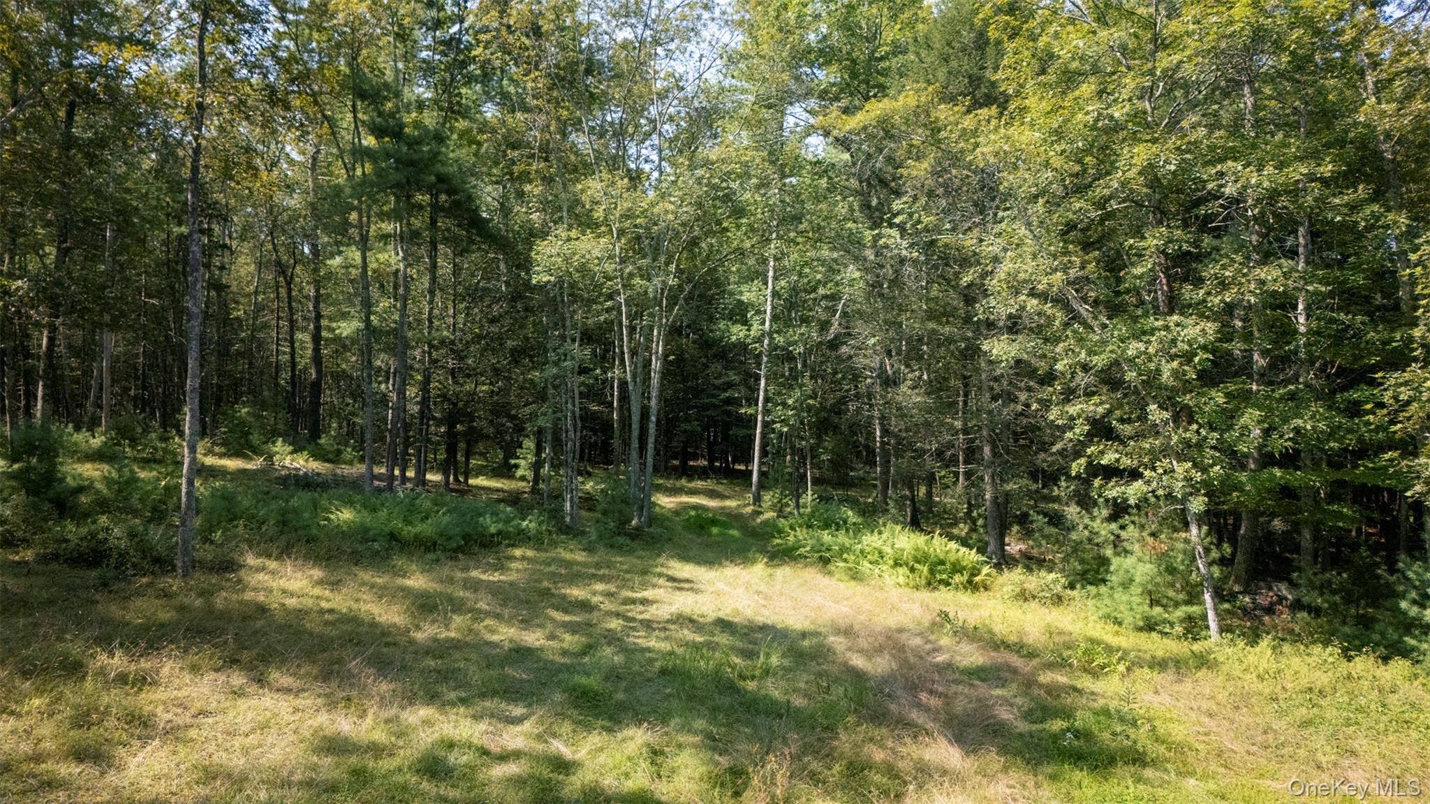 327 Phillips Road, Saugerties, NY 12477