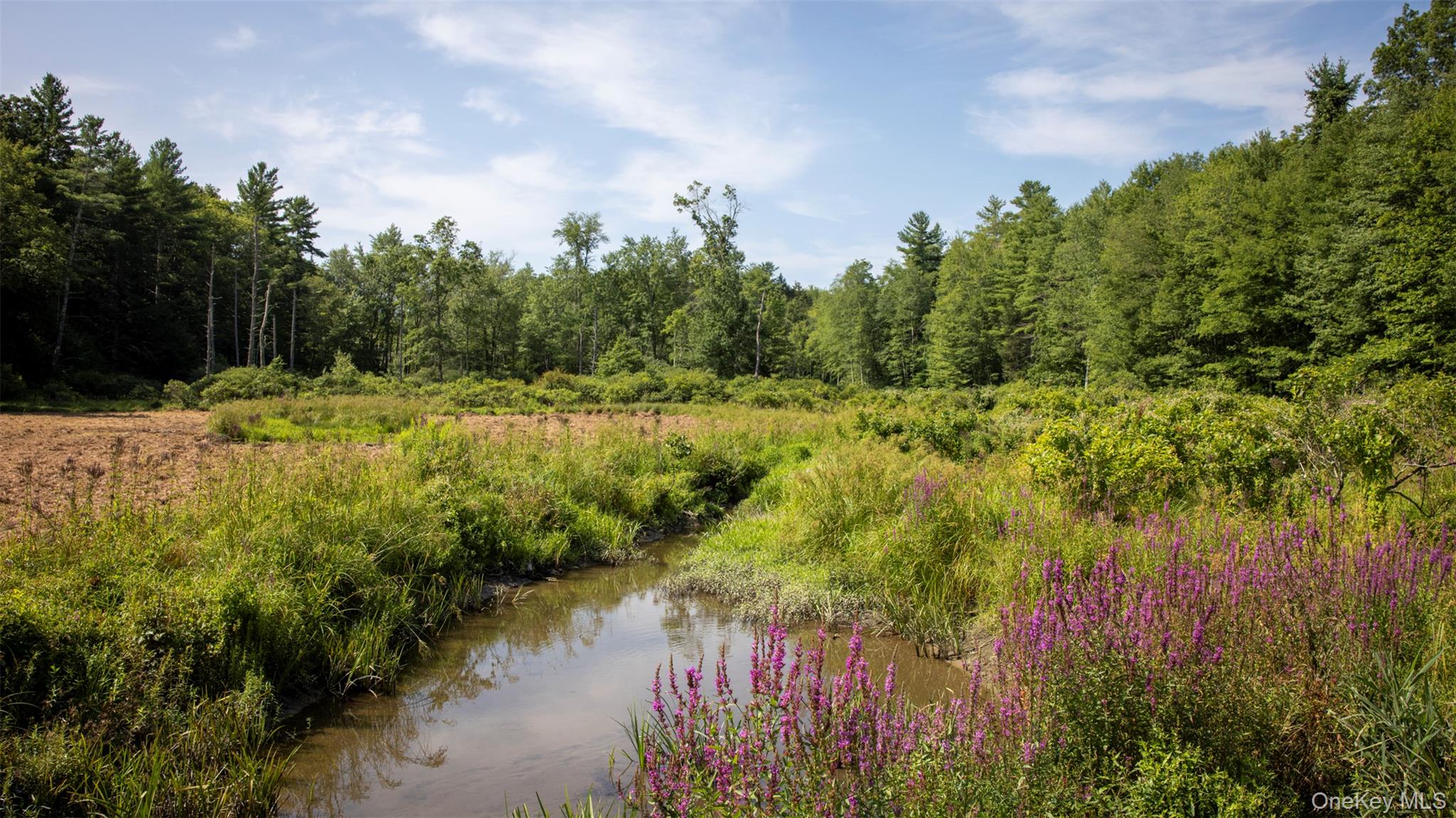 327 Phillips Road, Saugerties, NY 12477