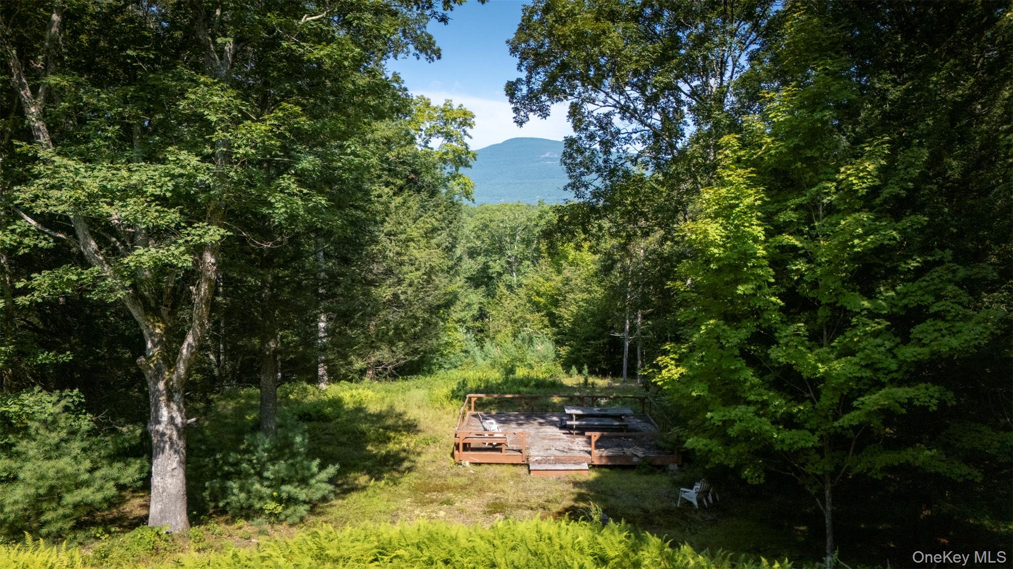 327 Phillips Road, Saugerties, NY 12477
