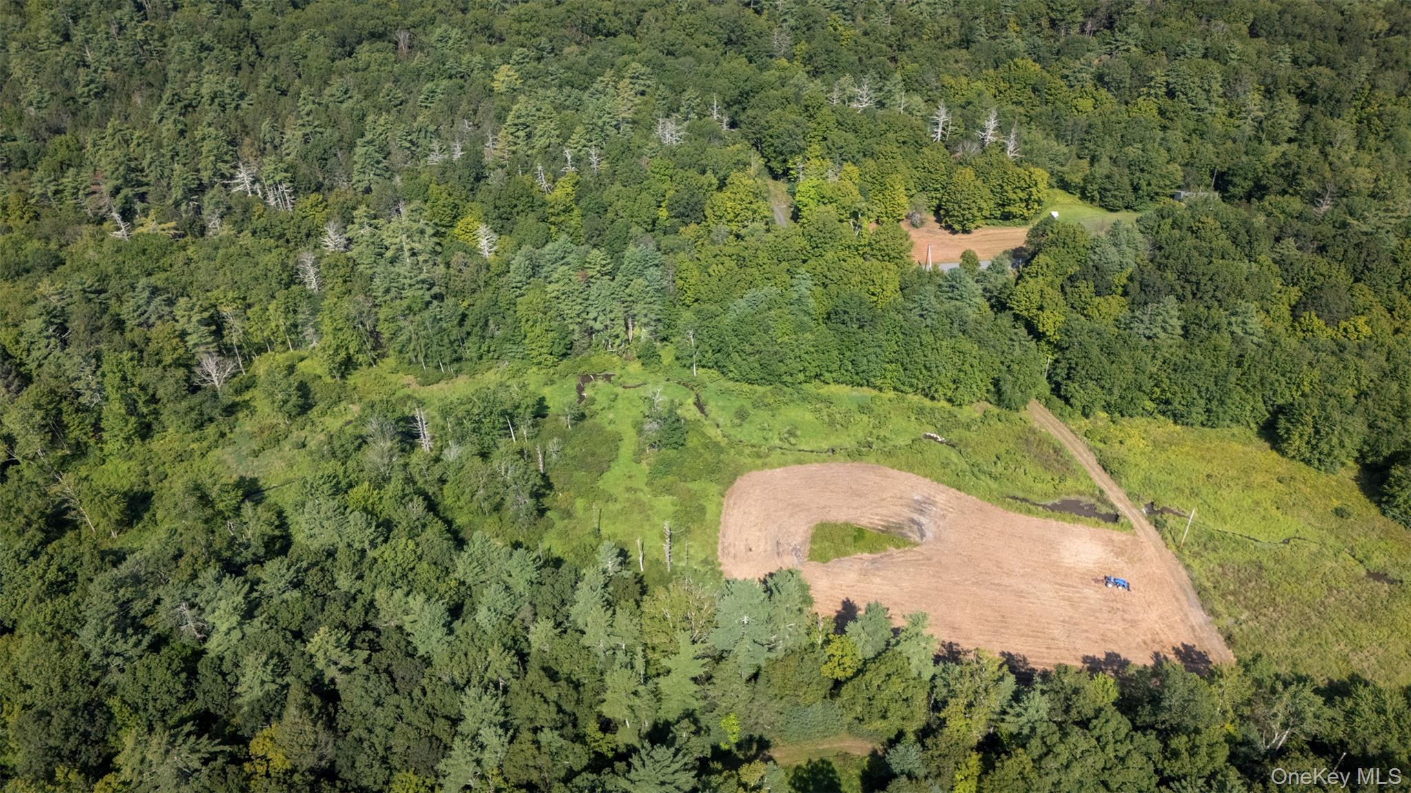 327 Phillips Road, Saugerties, NY 12477