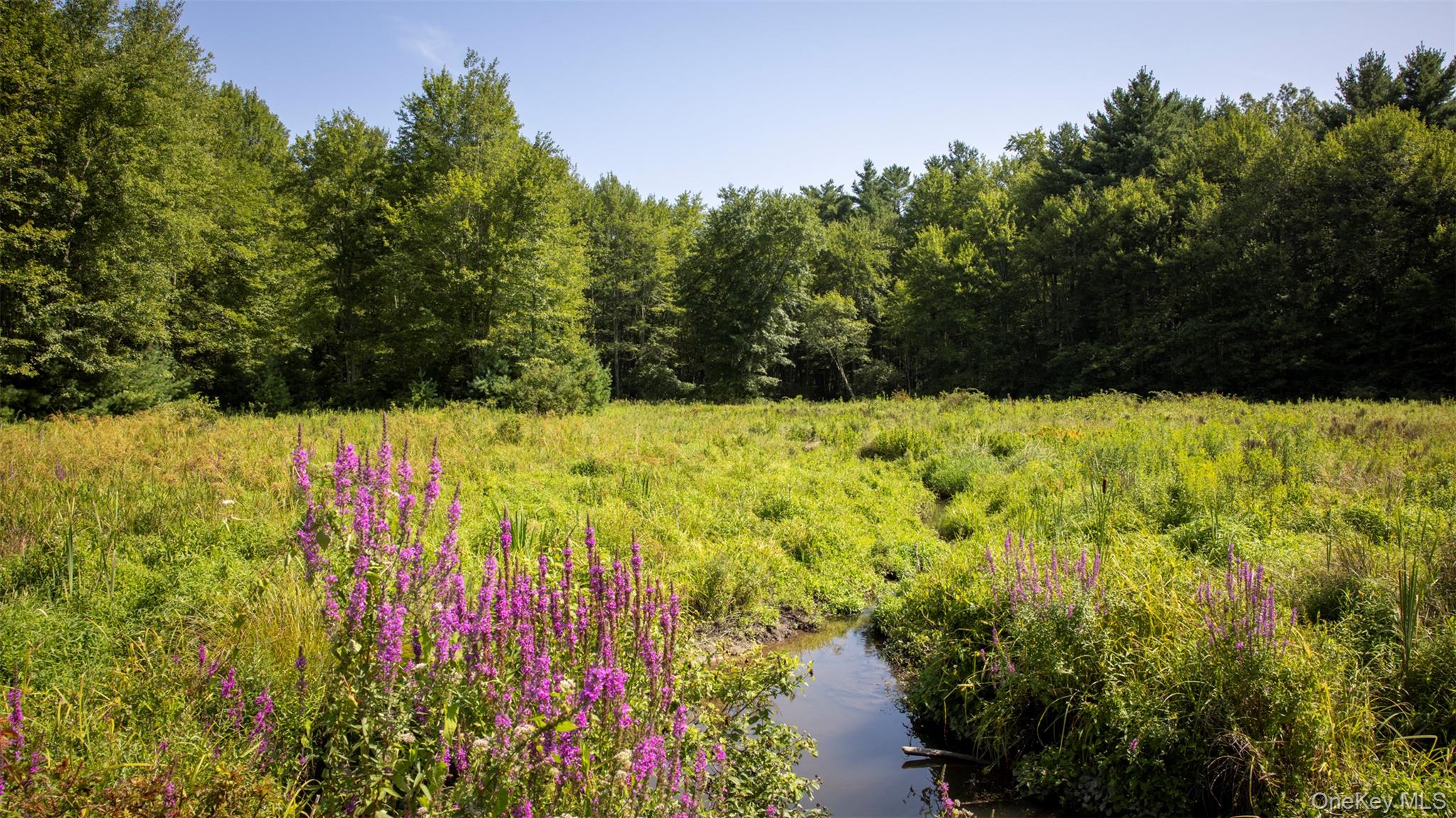 327 Phillips Road, Saugerties, NY 12477