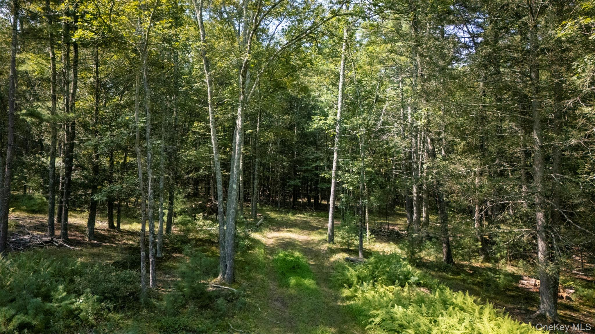 327 Phillips Road, Saugerties, NY 12477