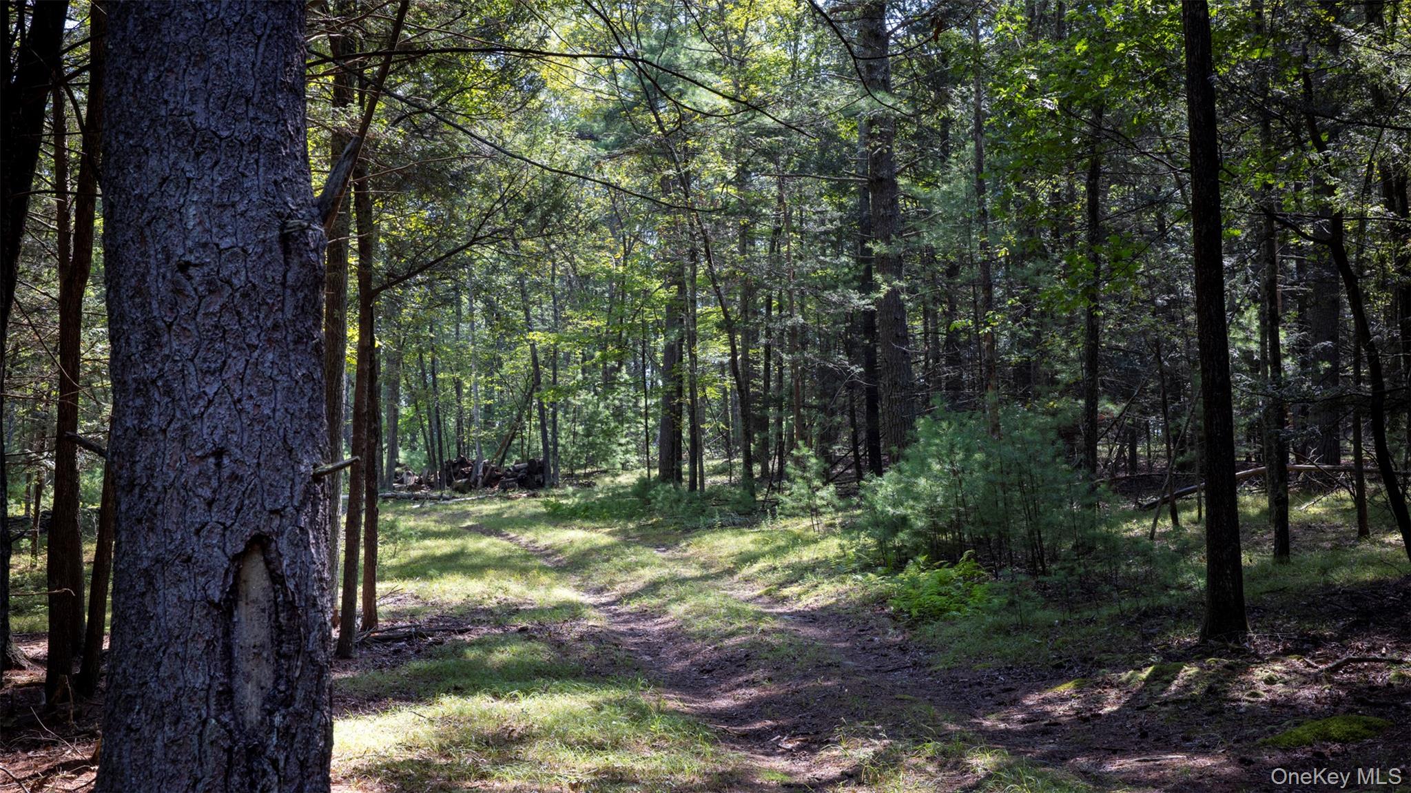 327 Phillips Road, Saugerties, NY 12477