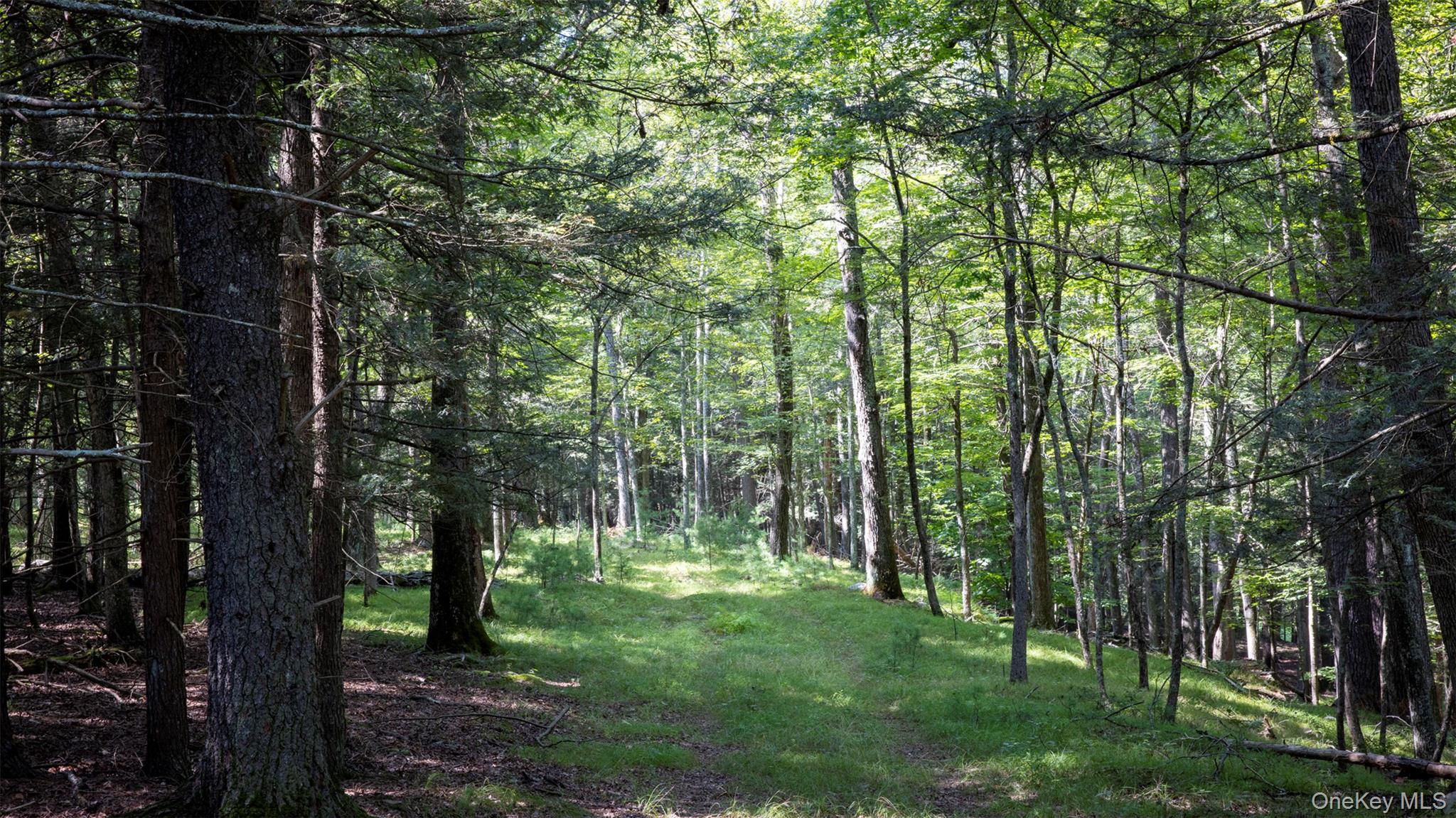 327 Phillips Road, Saugerties, NY 12477