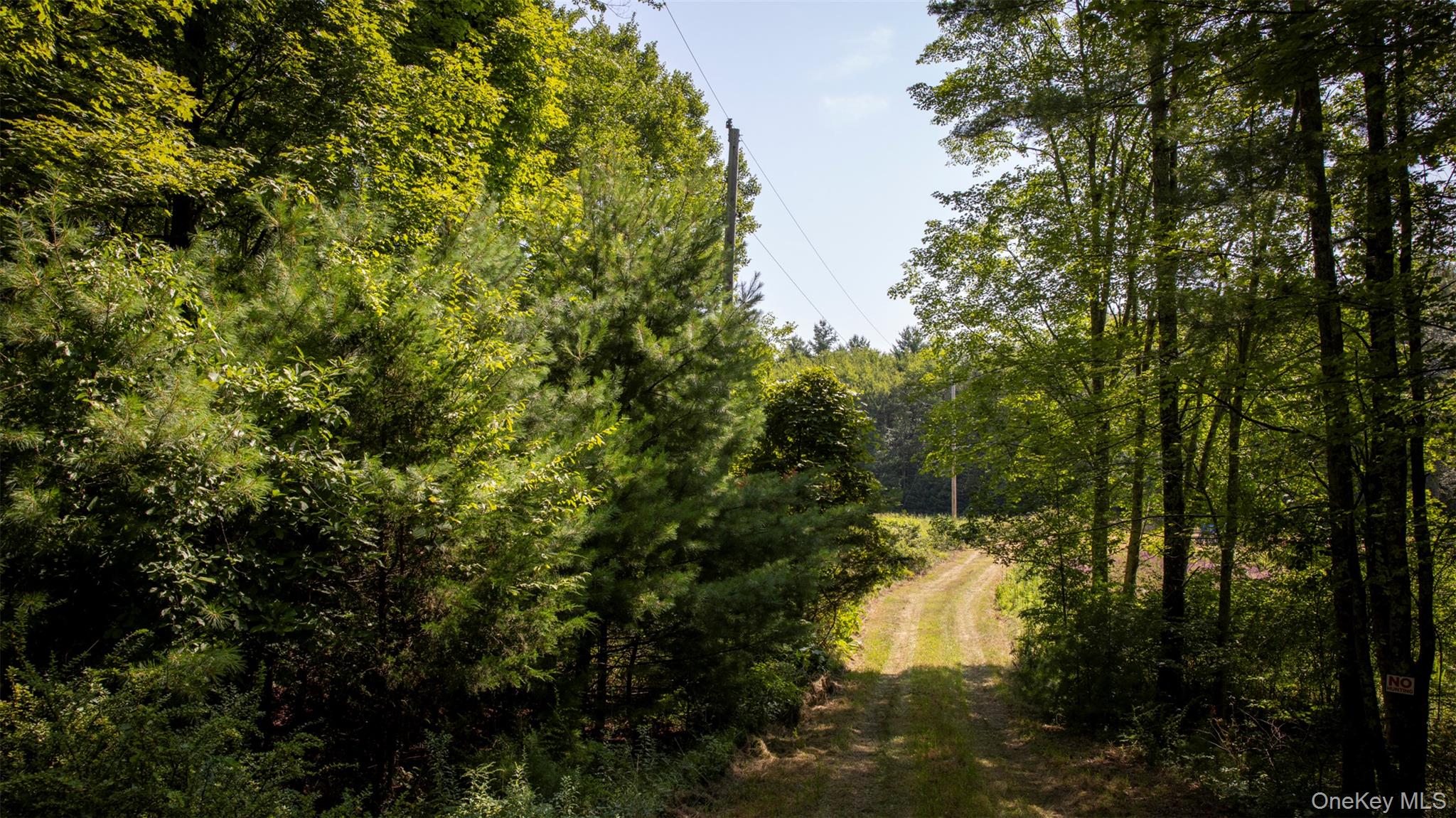 327 Phillips Road, Saugerties, NY 12477