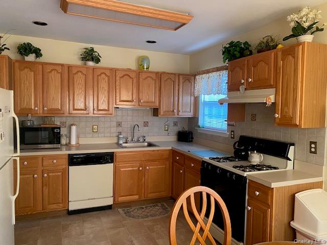 8 Ariel Drive, Middle Island, NY 11953