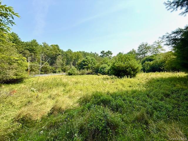 271 High Road, Glen Spey, NY 12737