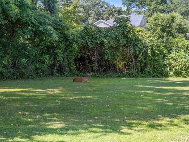 168 Seward Street, Buchanan, NY 10511