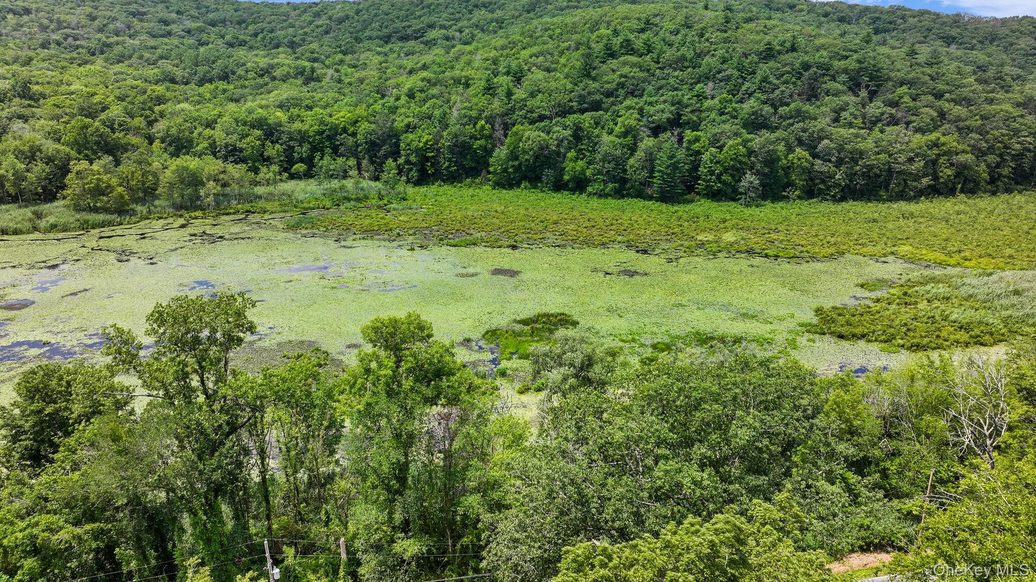 263 Bog Hollow Road, Wassaic, NY 12592