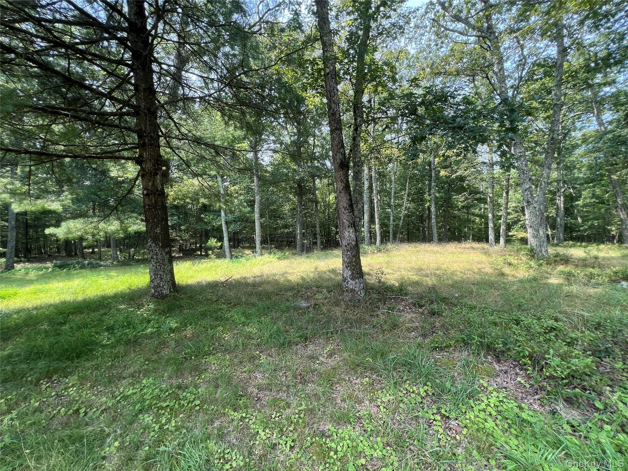 125 Woods Road, Barryville, NY 12719