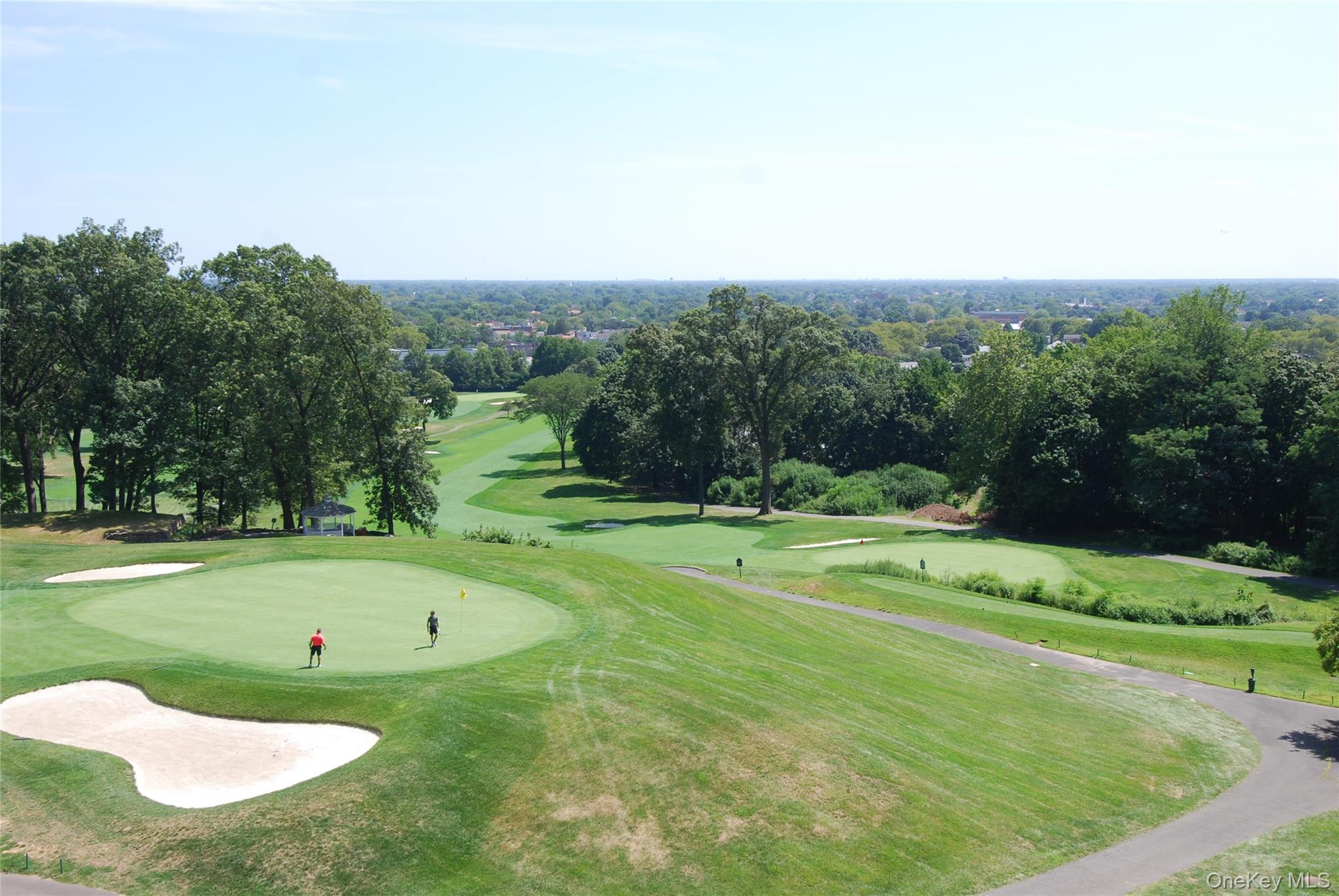 27010 Grand Central Parkway # 5V, Floral Park, NY 11005