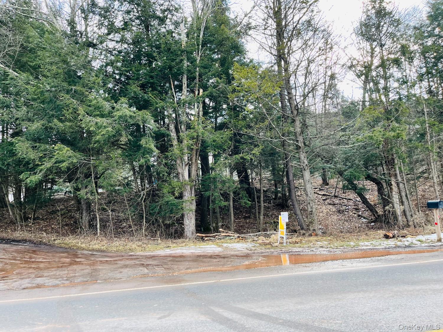 61 South Street, Windham, NY 12496