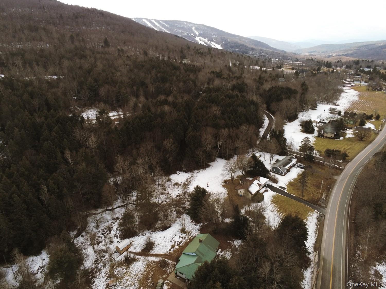 61 South Street, Windham, NY 12496