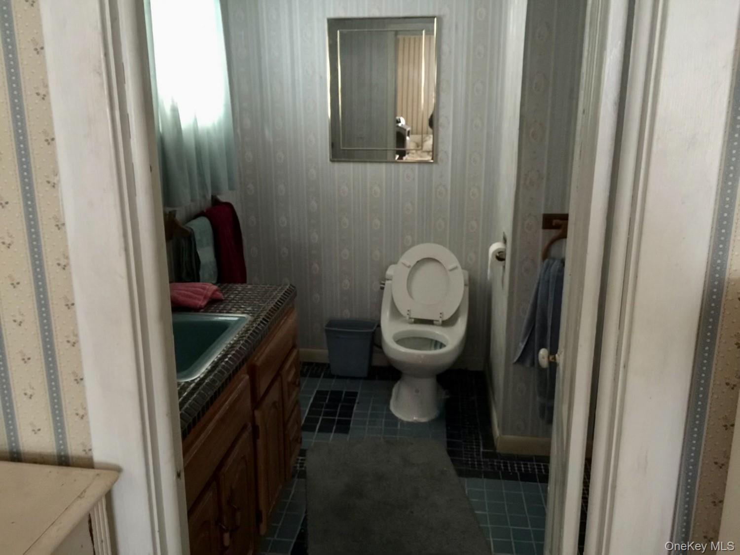 61 South Street, Windham, NY 12496