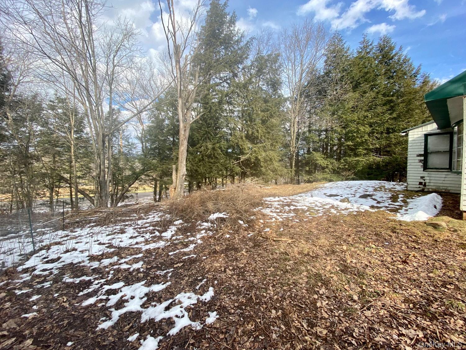 61 South Street, Windham, NY 12496