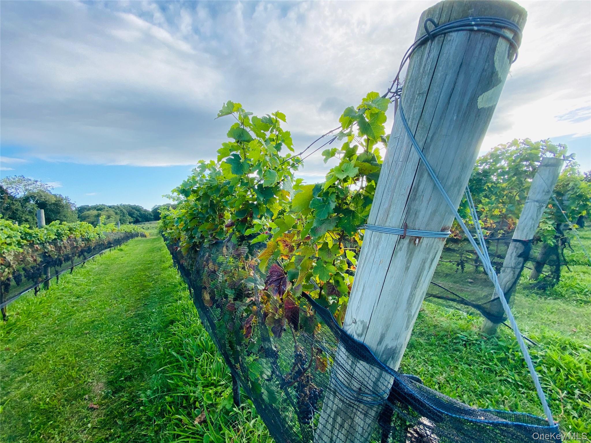 35950 Main Road, Cutchogue, NY 11935