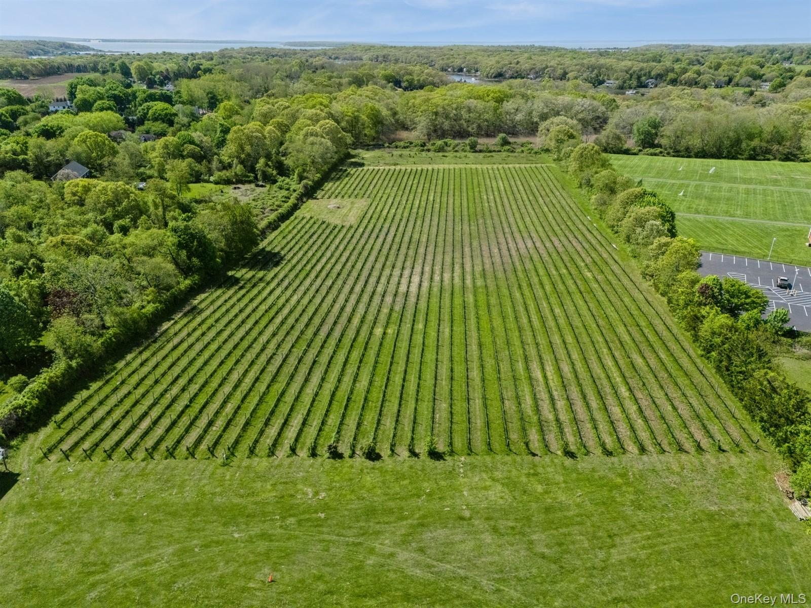 35950 Main Road, Cutchogue, NY 11935