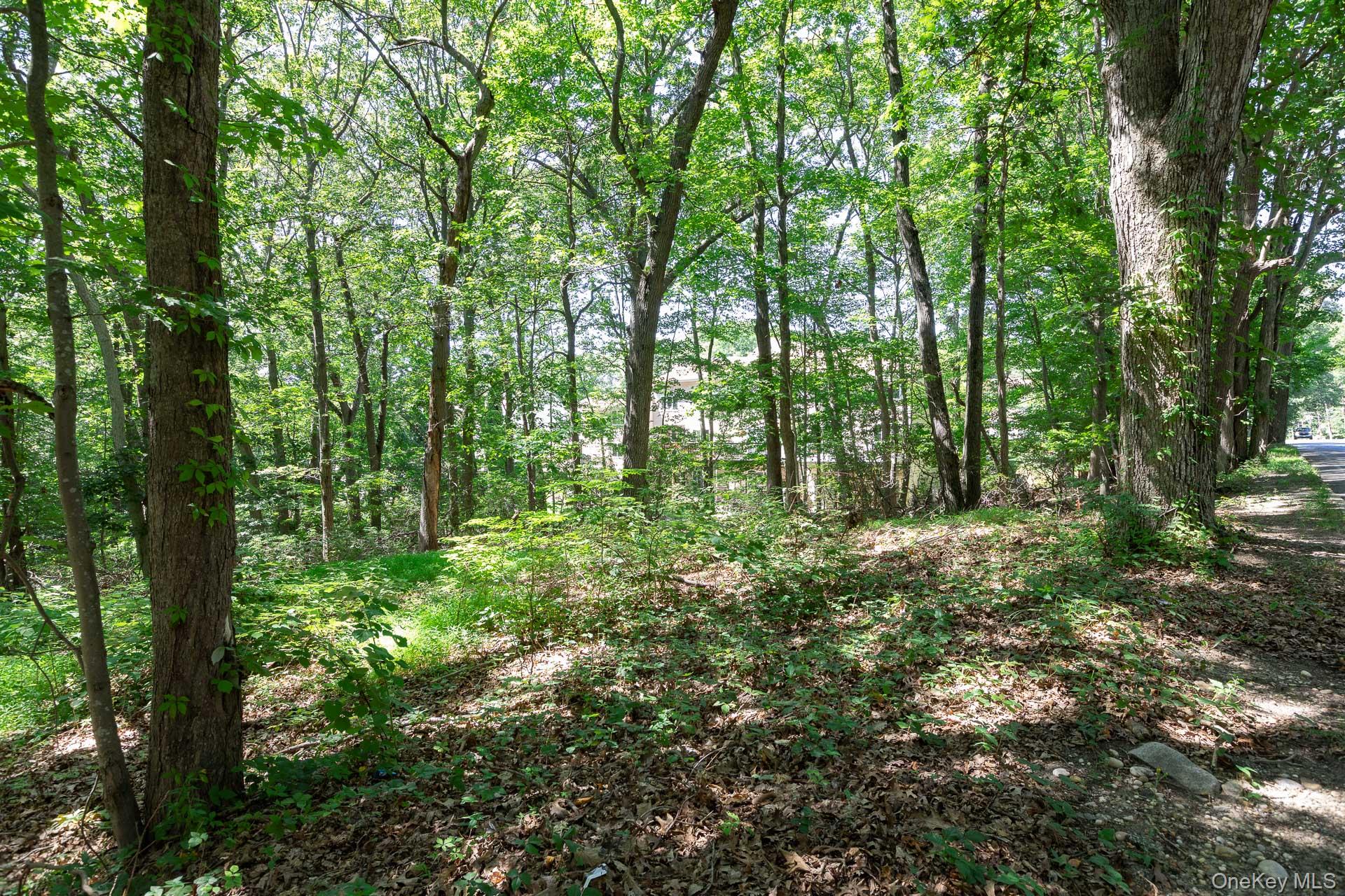 Belle Terre Road, Port Jefferson, NY