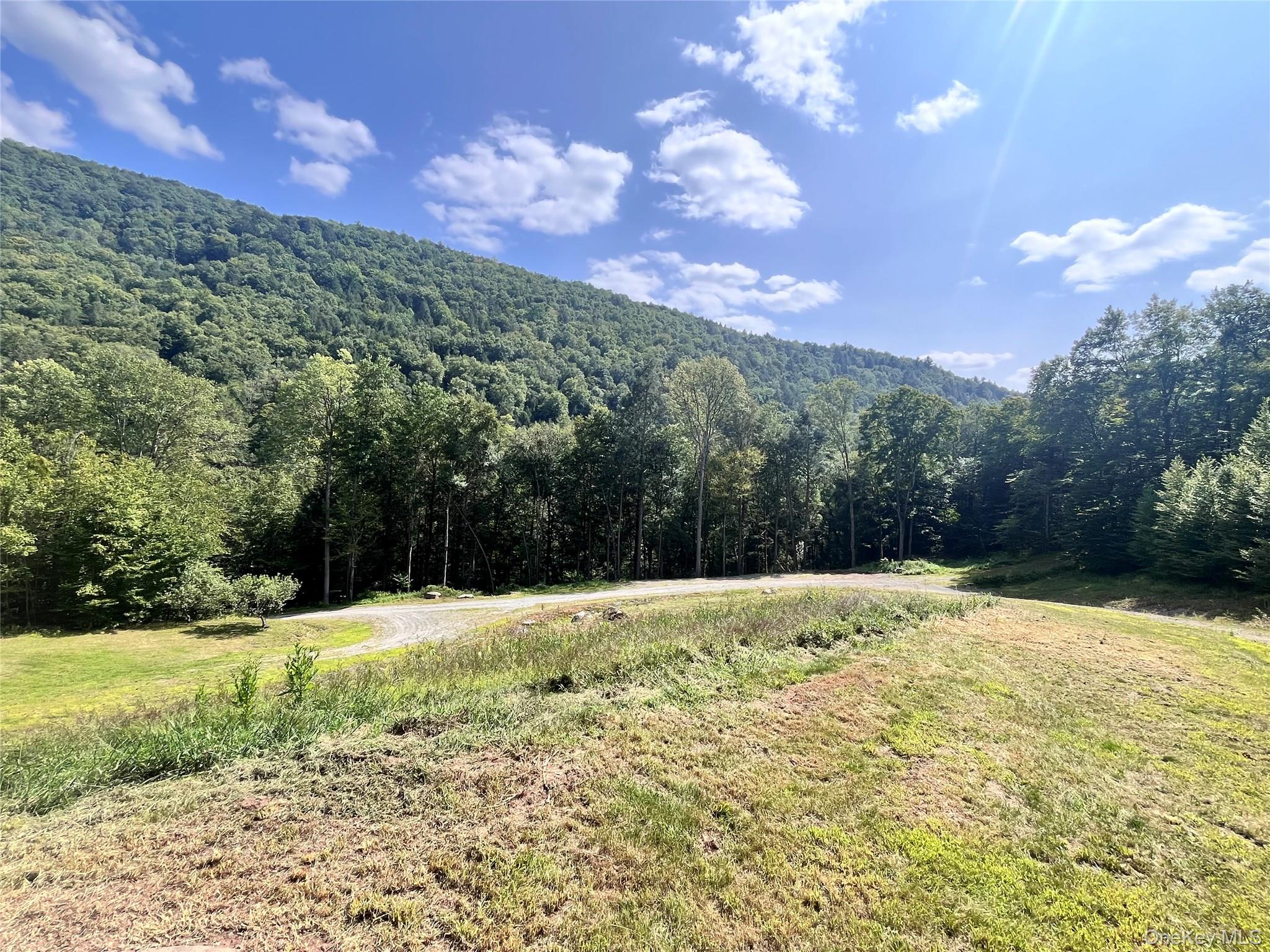 201 Basket Brook Rd, Long Eddy, NY 12760