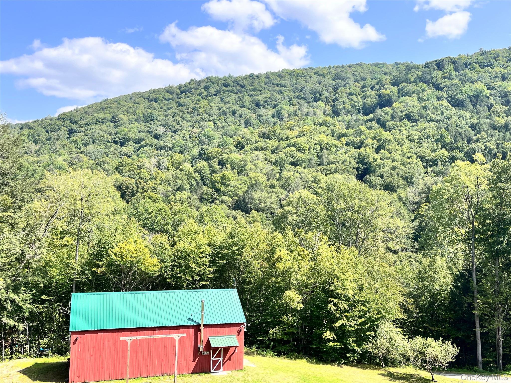 201 Basket Brook Rd, Long Eddy, NY 12760