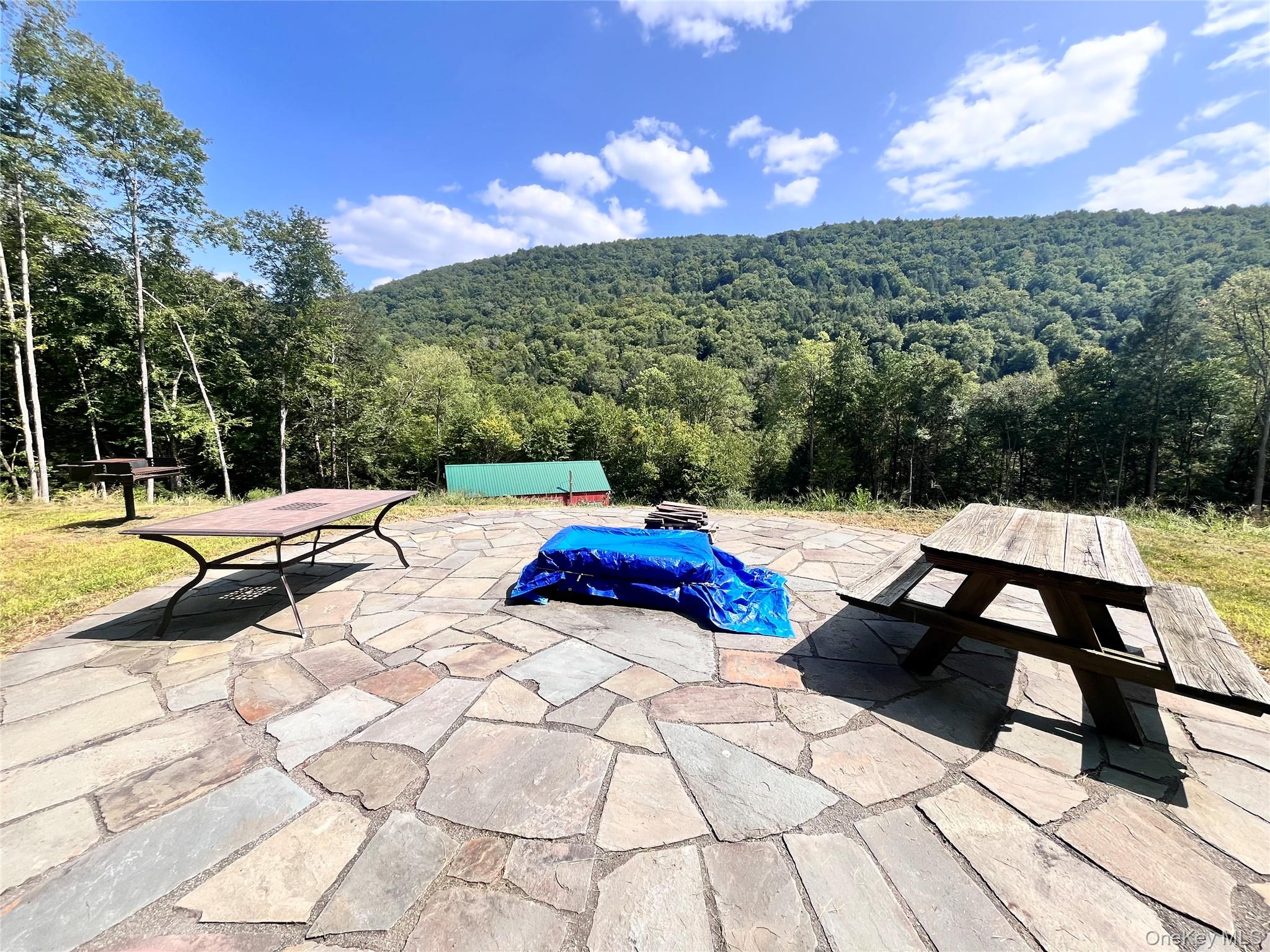 201 Basket Brook Rd, Long Eddy, NY 12760