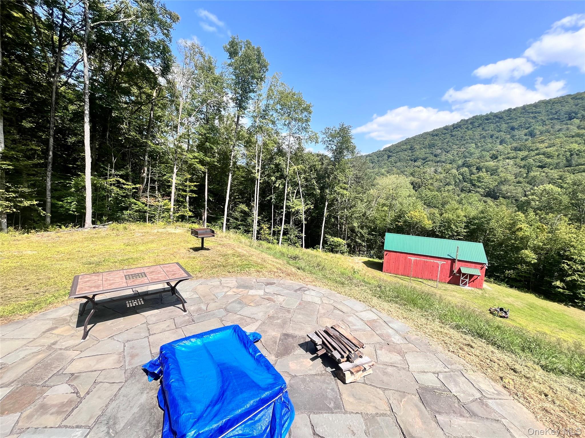 201 Basket Brook Rd, Long Eddy, NY 12760