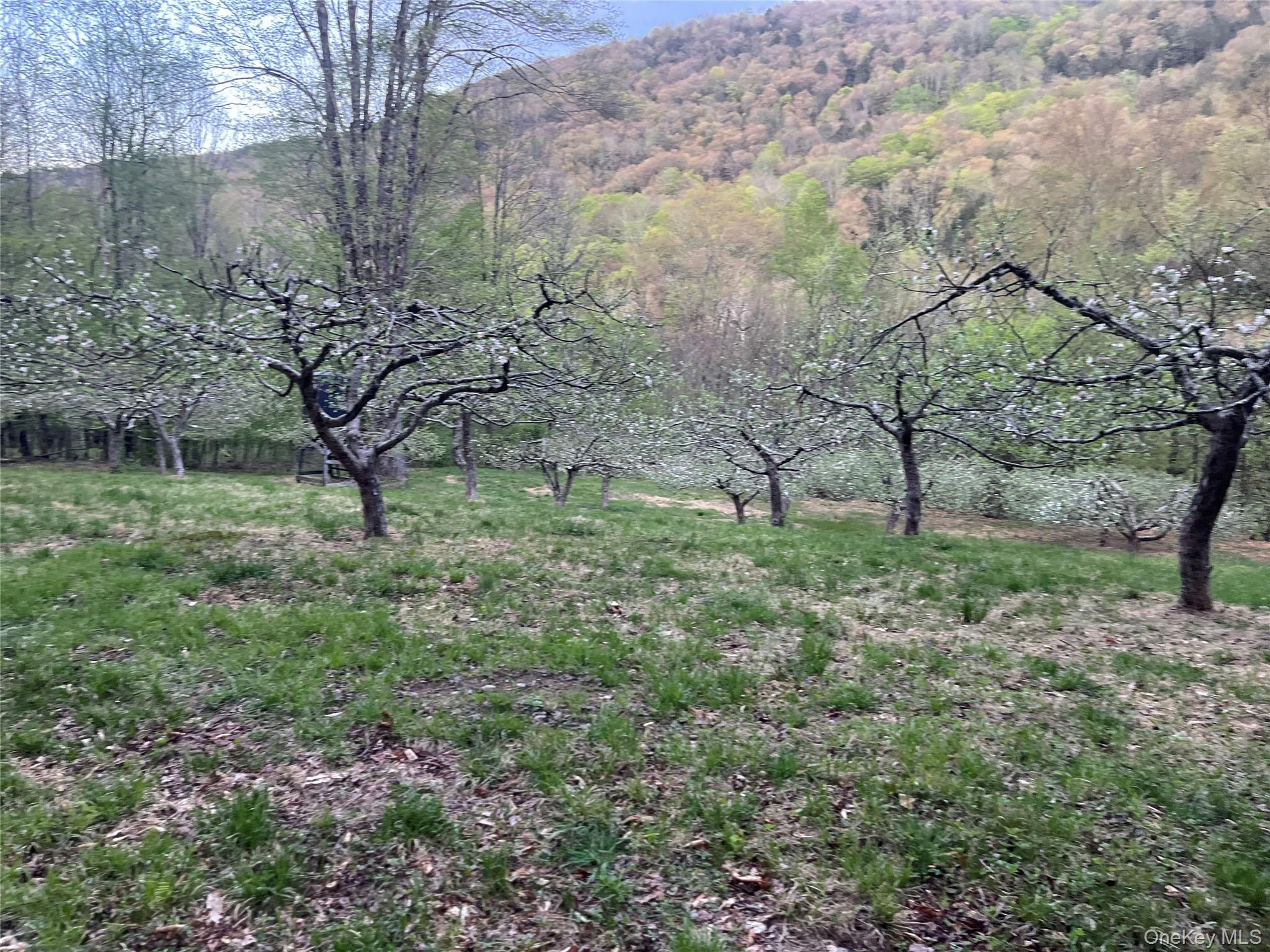 201 Basket Brook Rd, Long Eddy, NY 12760