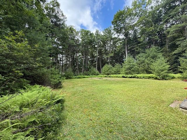 7 Hoyt Road, Glen Spey, NY 12737