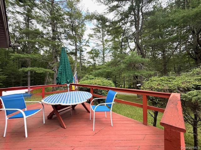 7 Hoyt Road, Glen Spey, NY 12737