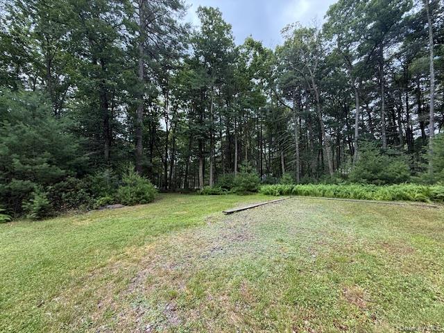 7 Hoyt Road, Glen Spey, NY 12737