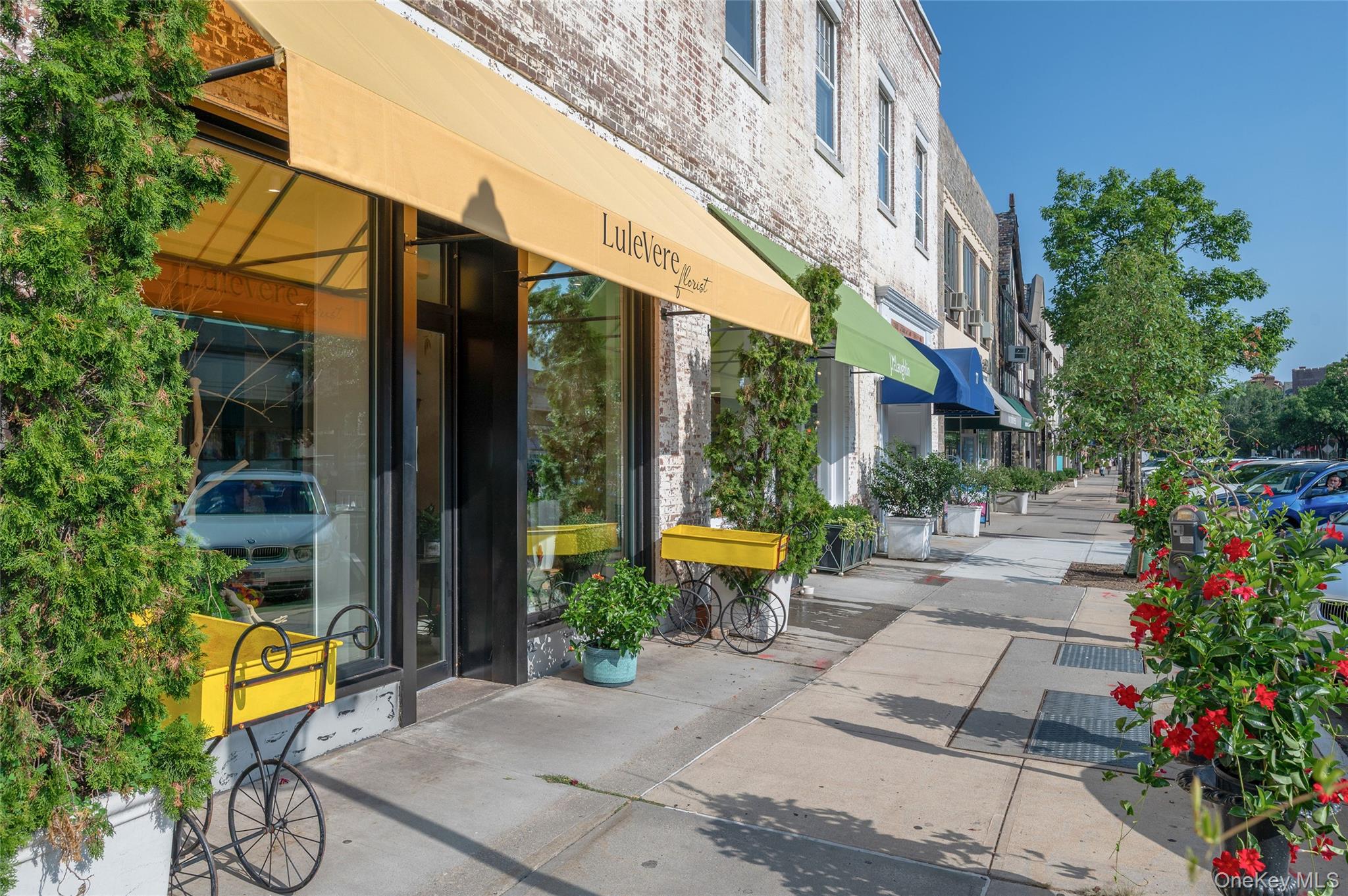 144 Douglas Place, Mount Vernon, NY 10552