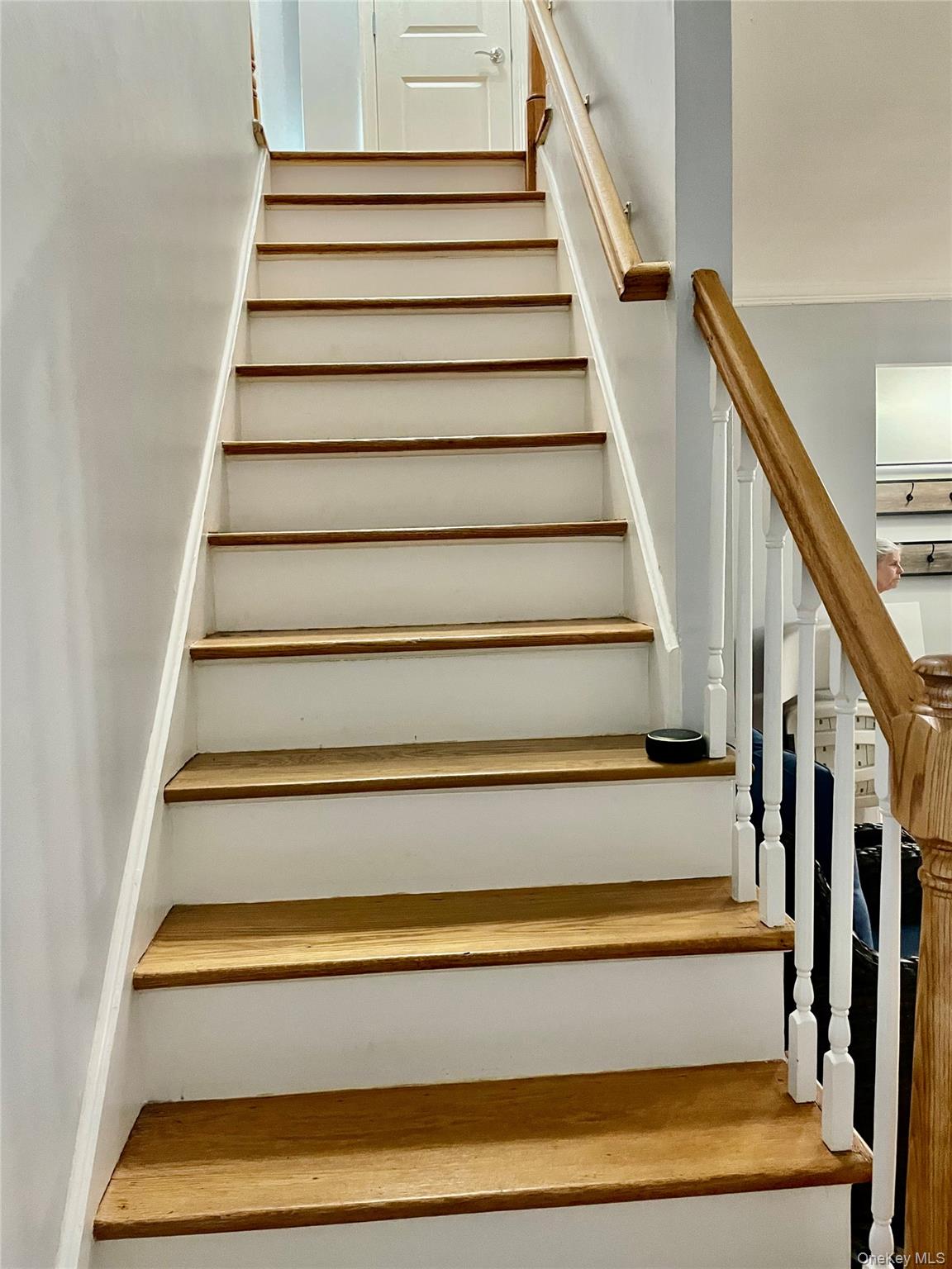 2525 Hone Avenue, Bronx, NY 10469