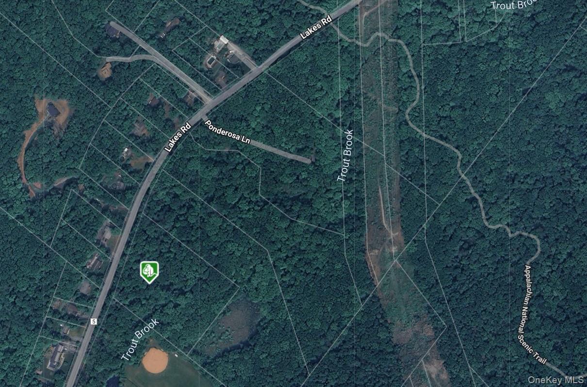 1187 Lakes Road, Monroe, NY 10950