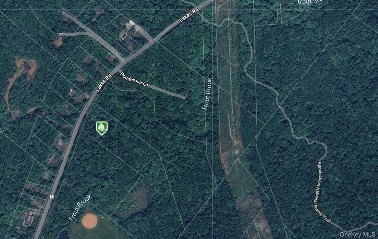 1181 Lakes Road, Monroe, NY 10950