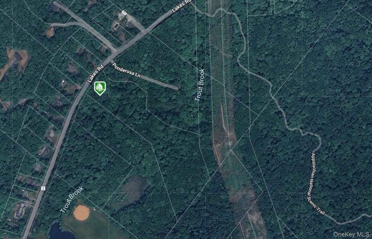 1171 Lakes Road, Monroe, NY 10950
