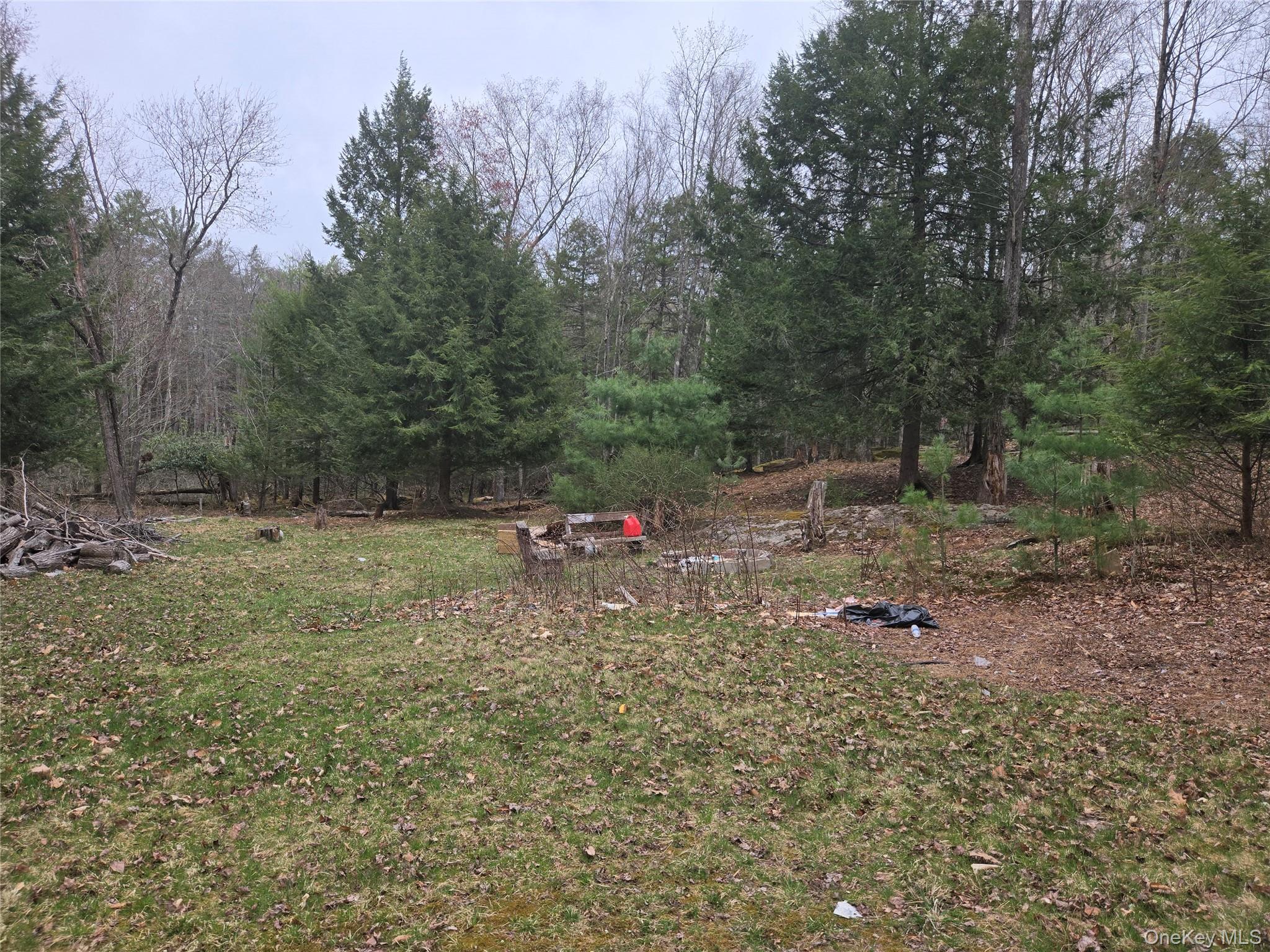 13 Skunk Hollow Road, South Fallsburg, NY 12779