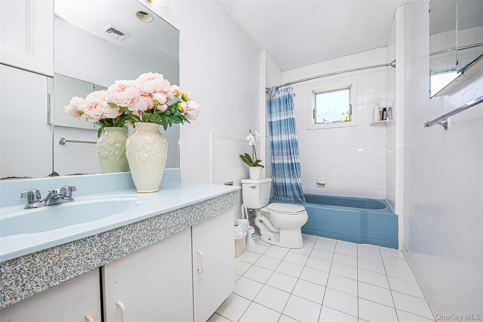 84 Middle Neck Road, Flower Hill, NY 11576