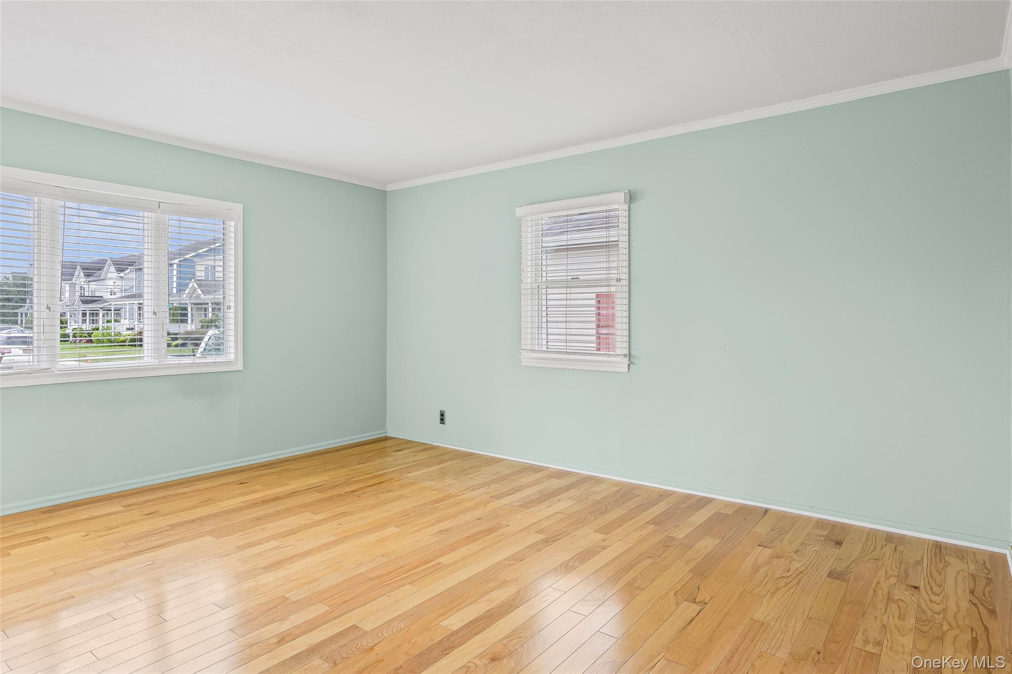 222 Clemens Road, Mineola, NY 11501