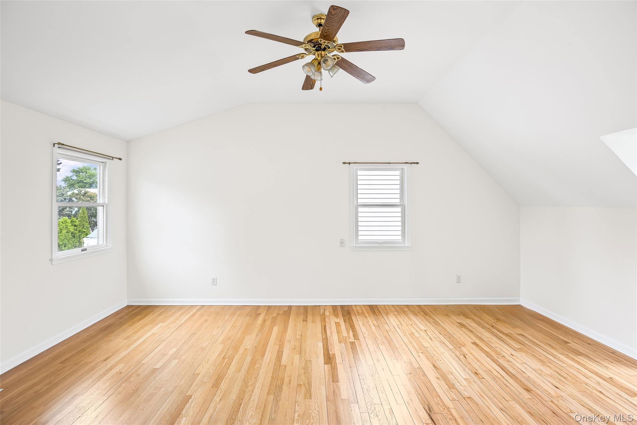 222 Clemens Road, Mineola, NY 11501