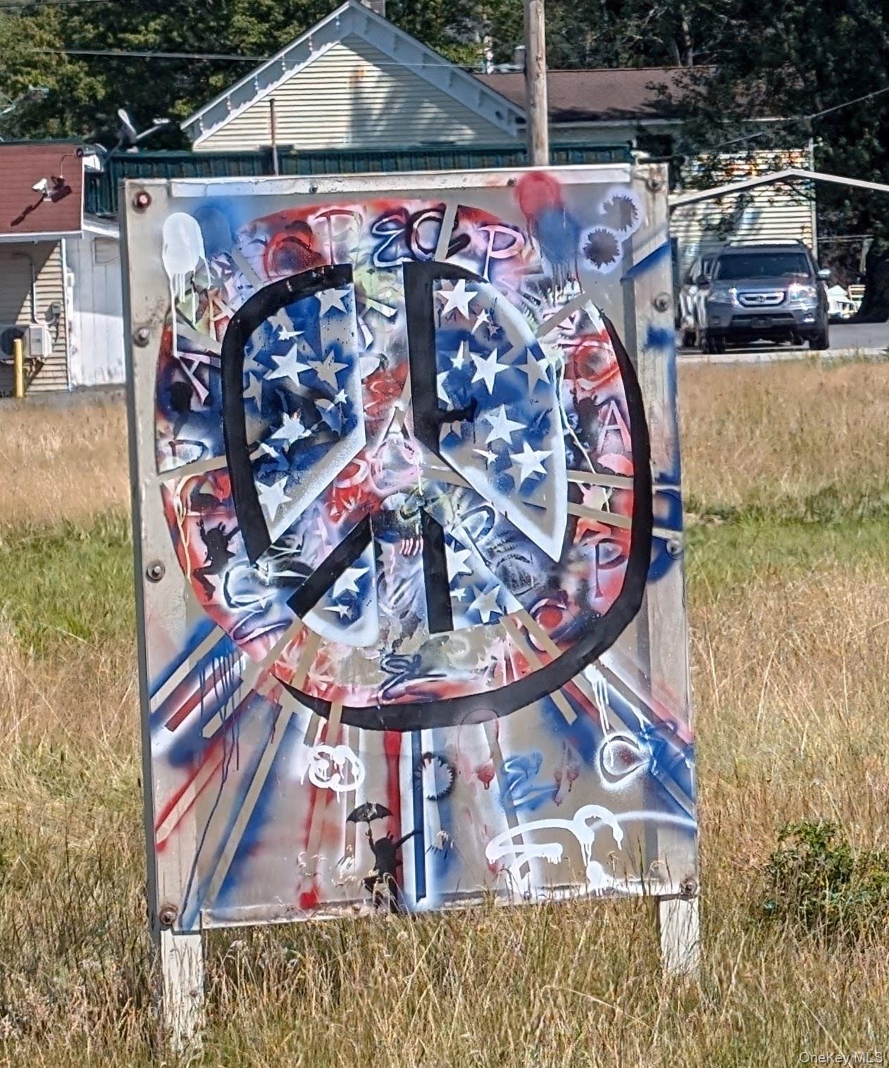 1166 County Road 114, Cochecton, NY 12726