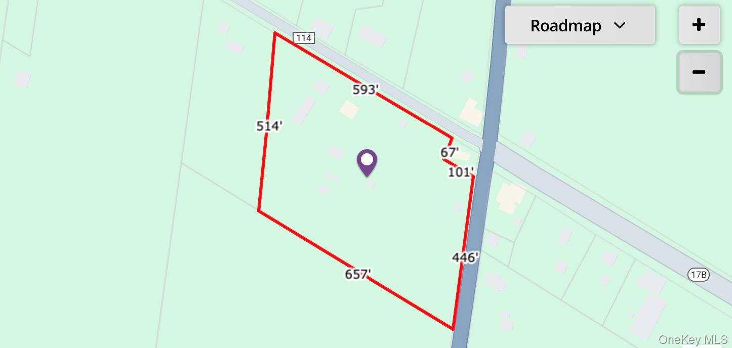 1166 County Road 114, Cochecton, NY 12726