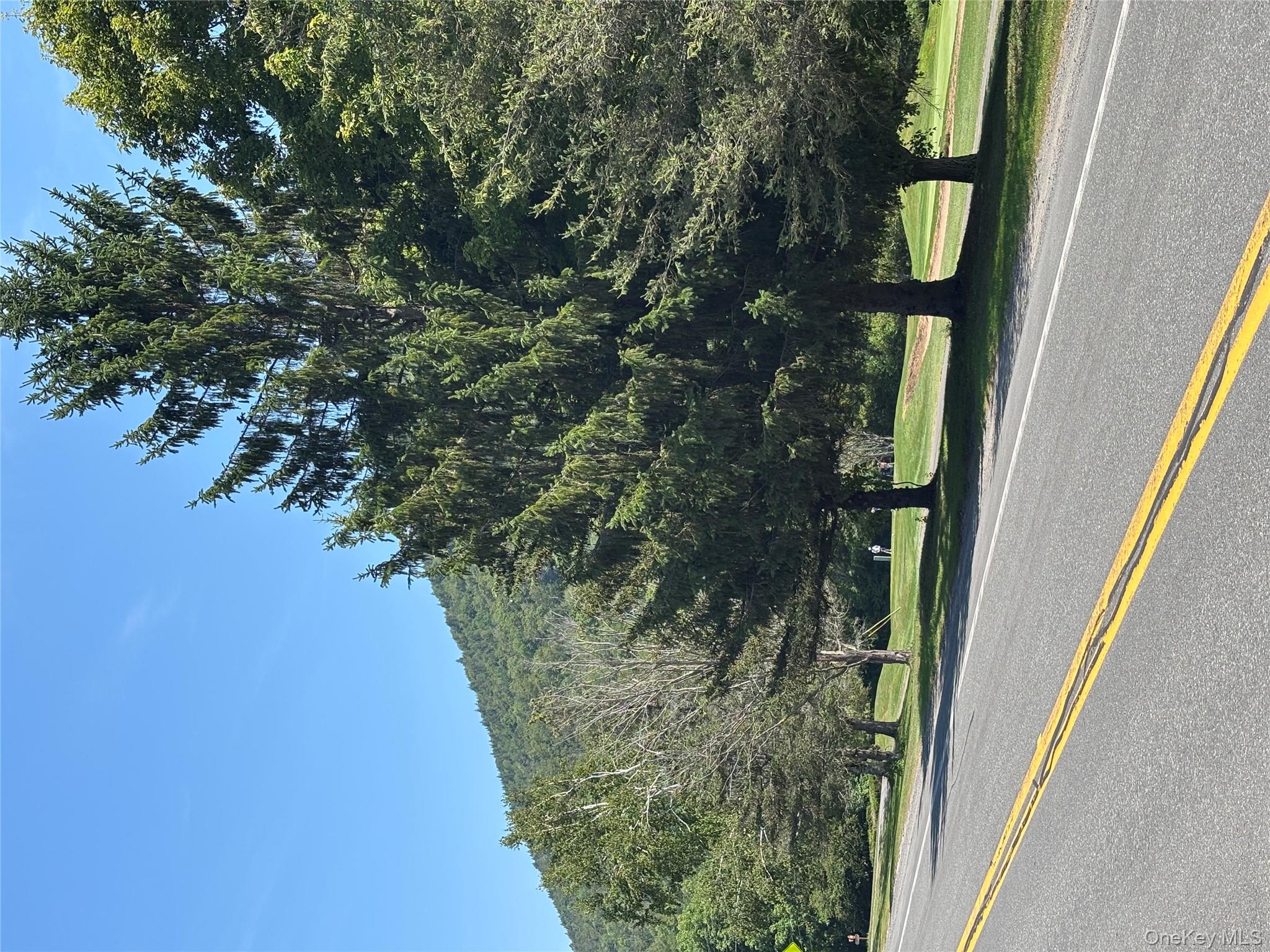 50 McGuire Road, Margaretville, NY 12455