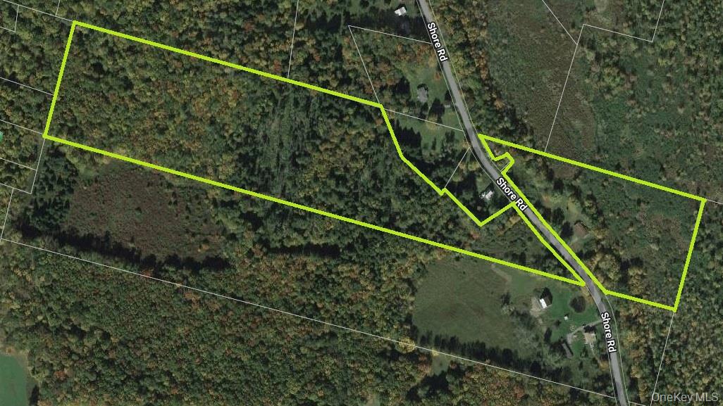 153 Shore Road, White Sulphur Spring, NY 12787