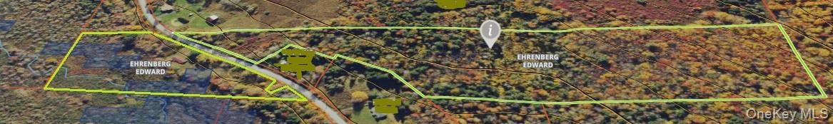 153 Shore Road, White Sulphur Spring, NY 12787