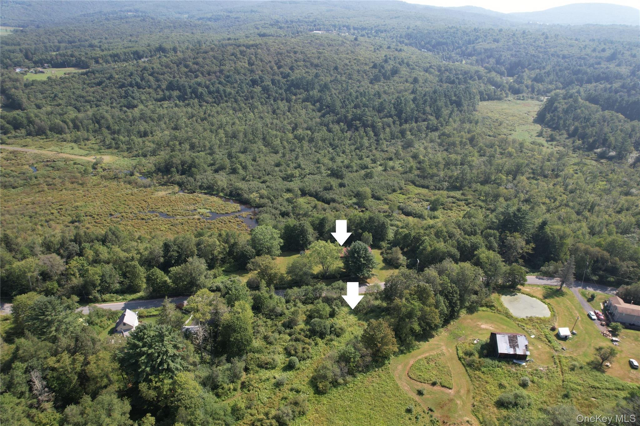 153 Shore Road, White Sulphur Spring, NY 12787