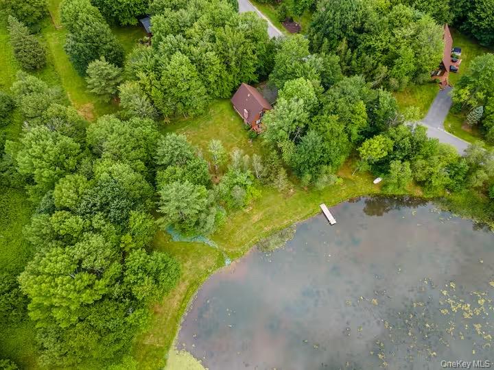 33 Mahogany Lane, Liberty, NY 12754