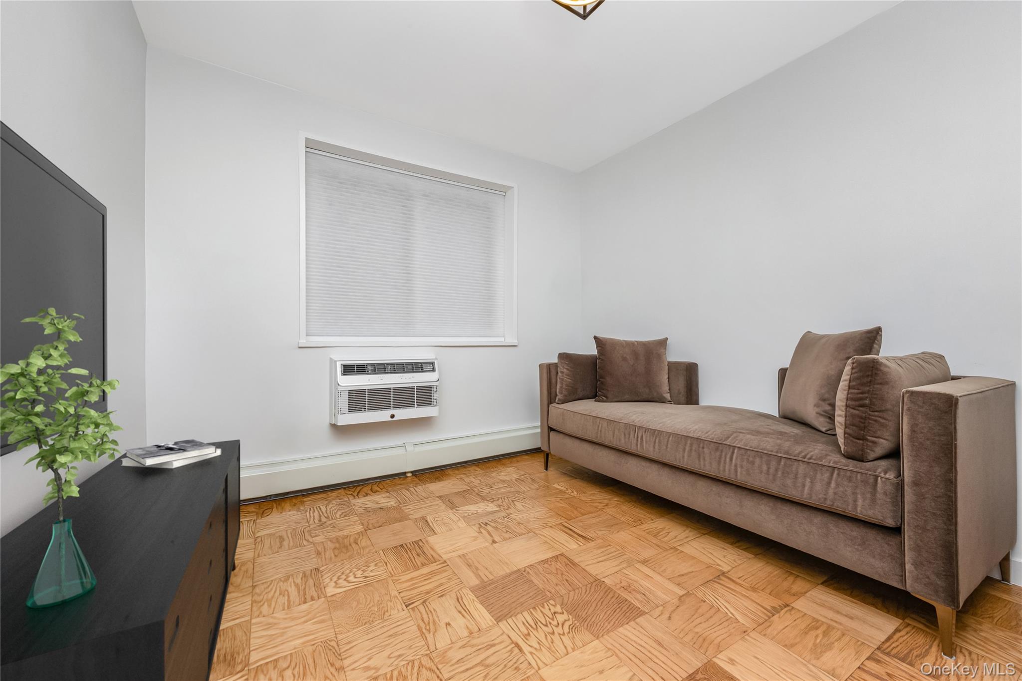 101 Clinton Avenue # 1A, Mineola, NY 11501